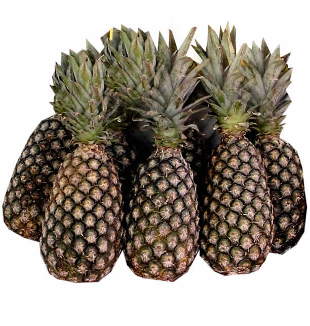 Cotonou Pineapple
