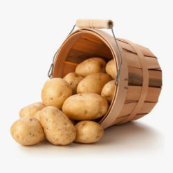 irish potato